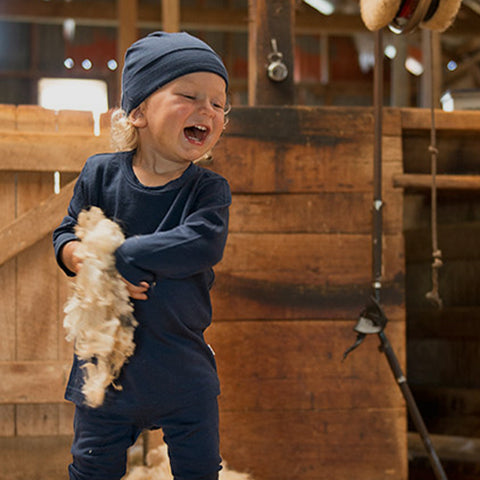 Why merino?