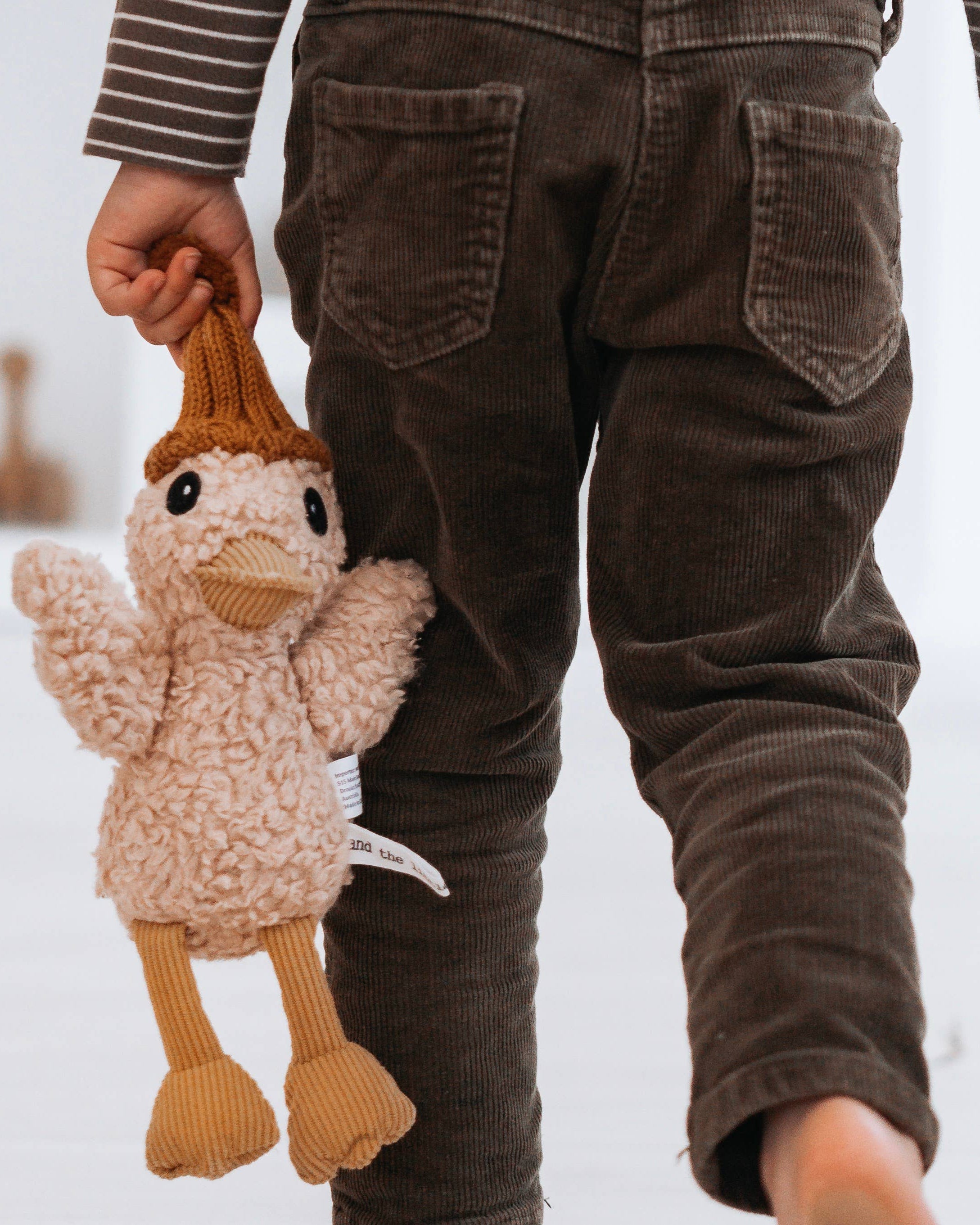 Petunia the Duck
