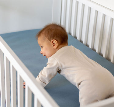 Cot Fitted Sheet